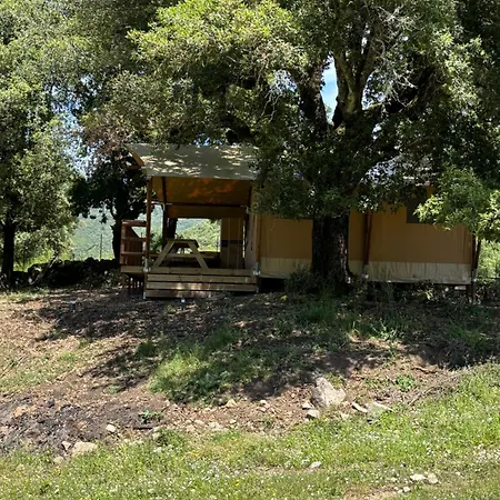A Nassa Campo de lujo *