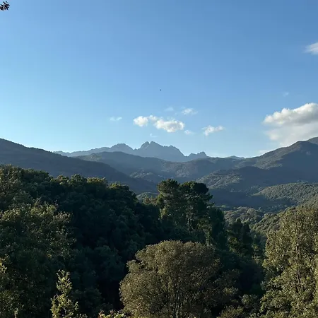 A Nassa Campo de lujo *
