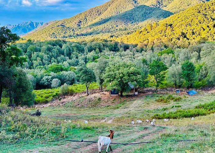 A Nassa Luxury tent Olivese