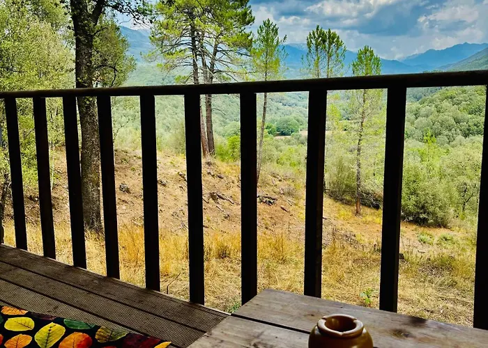 A Nassa Luxury tent Olivese