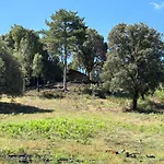 Luxury tent A Nassa