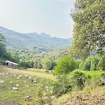 Luxury tent A Nassa Olivese