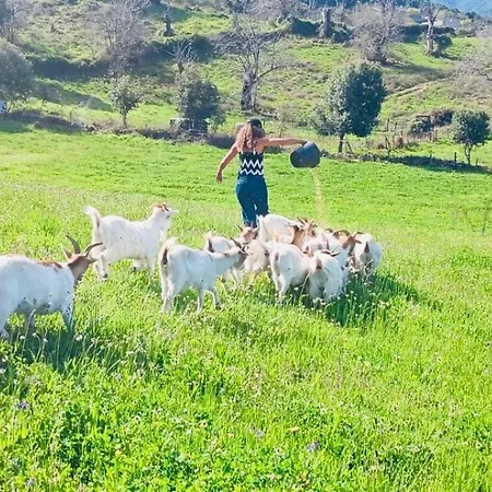 A Nassa ラグジュアリーテント *