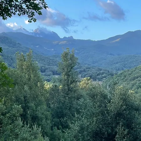 Tente de luxe A Nassa Olivese