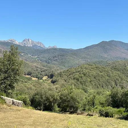 Tente de luxe A Nassa Olivese