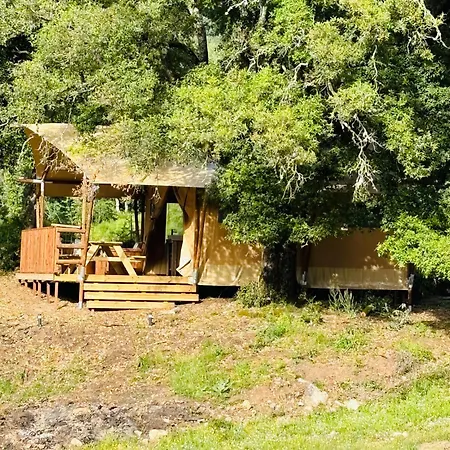 A Nassa Luxury tent