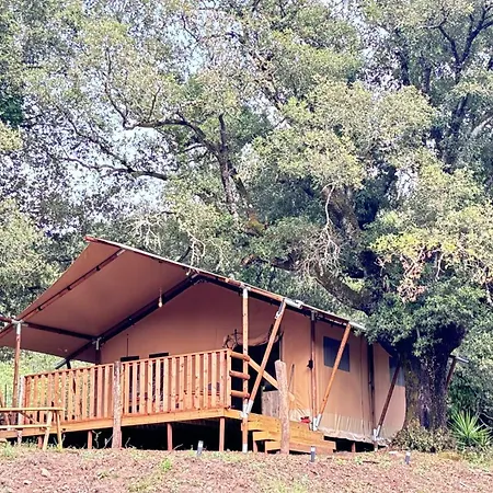 A Nassa Luxury tent