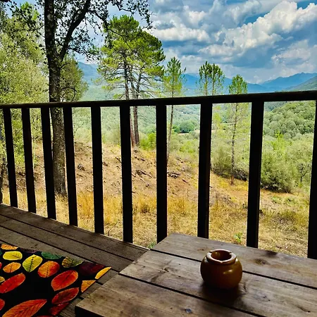 A Nassa ラグジュアリーテント Olivese