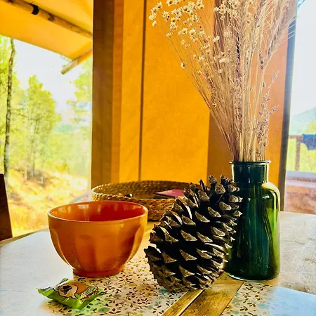 A Nassa ラグジュアリーテント *