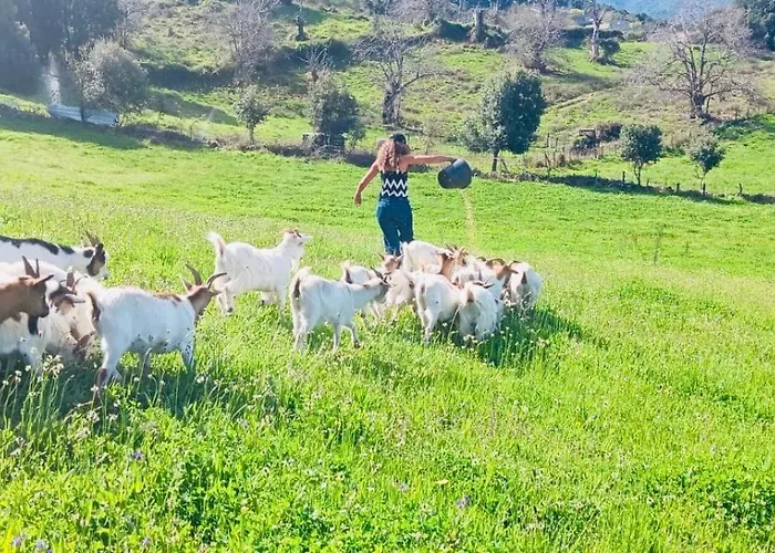 A Nassa Tente de luxe *