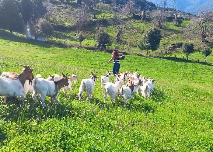 Tente de luxe A Nassa