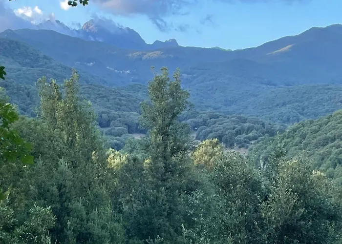 Tente de luxe A Nassa Olivese