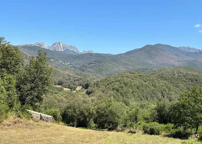 Tente de luxe A Nassa Olivese