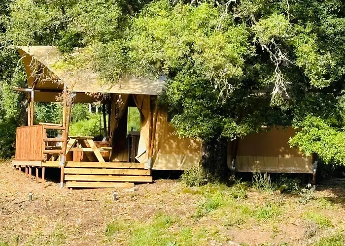 A Nassa Luxury tent