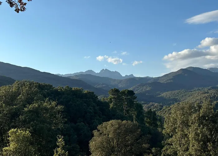 A Nassa Tente de luxe *