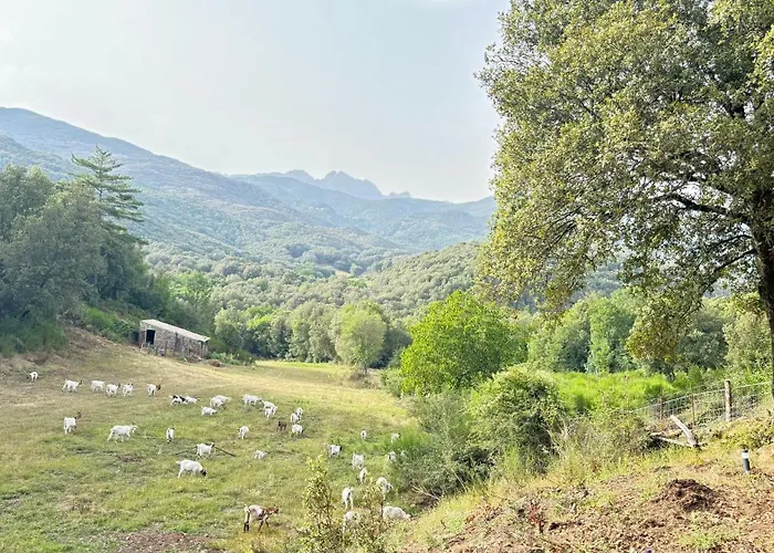 Luxury tent A Nassa Olivese